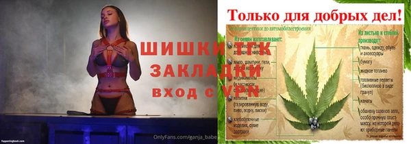 соль ск Алзамай