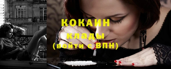 соль ск Алзамай