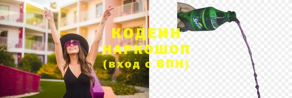 соль ск Алзамай