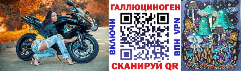 Псилоцибиновые грибы Psilocybine cubensis  Александровское 